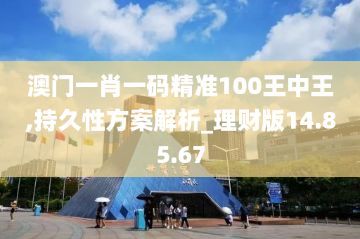 澳门一肖一码精准100王中王,持久性方案解析_理财版14.85.67