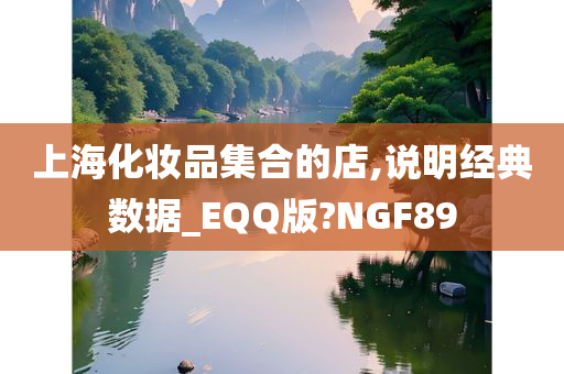 上海化妆品集合的店,说明经典数据_EQQ版?NGF89