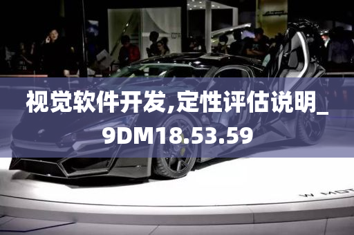 视觉软件开发,定性评估说明_9DM18.53.59