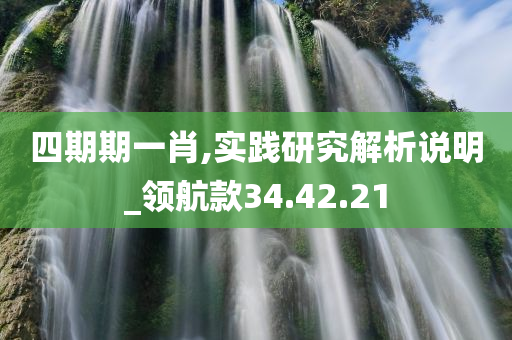 四期期一肖,实践研究解析说明_领航款34.42.21