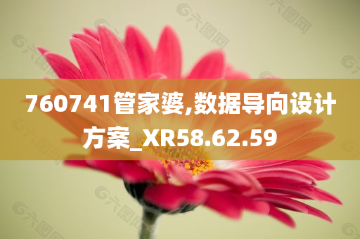 760741管家婆,数据导向设计方案_XR58.62.59