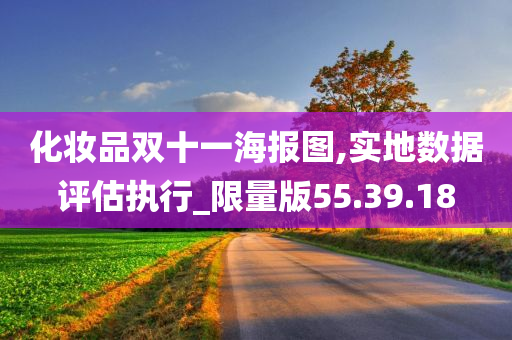 化妆品双十一海报图,实地数据评估执行_限量版55.39.18