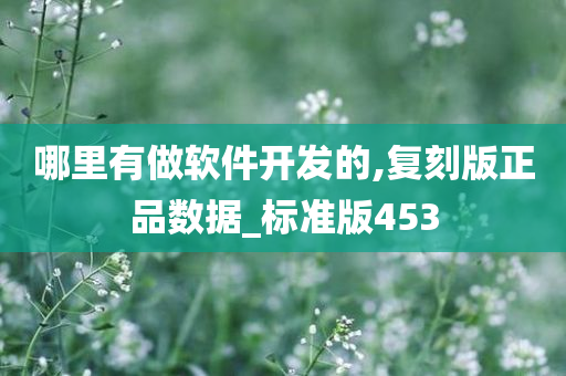 哪里有做软件开发的,复刻版正品数据_标准版453