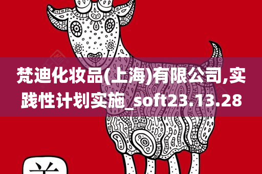 梵迪化妆品(上海)有限公司,实践性计划实施_soft23.13.28