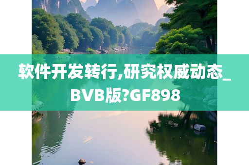 软件开发转行,研究权威动态_BVB版?GF898