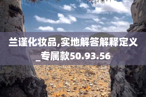 兰谨化妆品,实地解答解释定义_专属款50.93.56