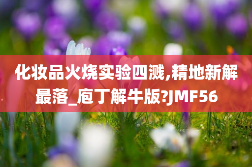 化妆品火烧实验四溅,精地新解最落_庖丁解牛版?JMF56