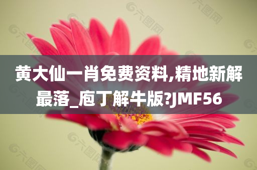 黄大仙一肖免费资料,精地新解最落_庖丁解牛版?JMF56