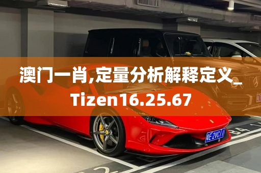 澳门一肖,定量分析解释定义_Tizen16.25.67