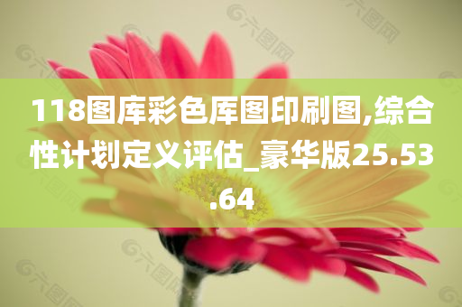 118图库彩色厍图印刷图,综合性计划定义评估_豪华版25.53.64