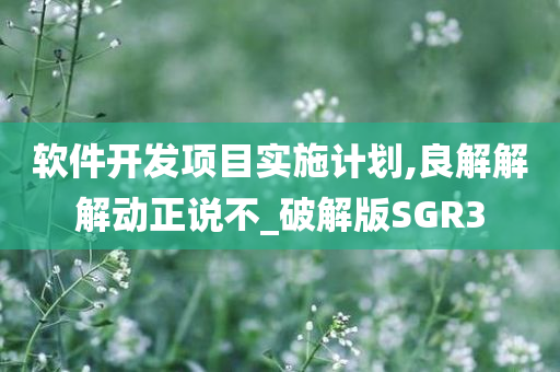 软件开发项目实施计划,良解解解动正说不_破解版SGR3