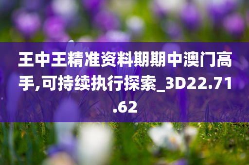 王中王精准资料期期中澳门高手,可持续执行探索_3D22.71.62