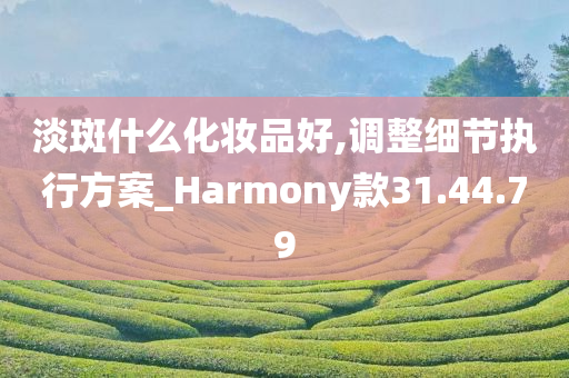 淡斑什么化妆品好,调整细节执行方案_Harmony款31.44.79