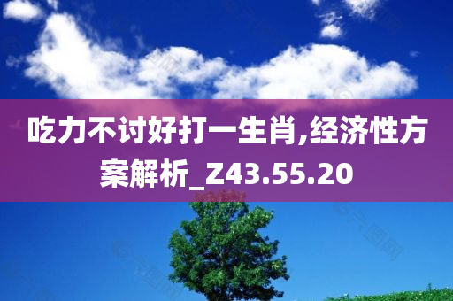 吃力不讨好打一生肖,经济性方案解析_Z43.55.20