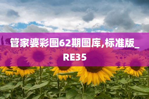 管家婆彩图62期图库,标准版_RE35