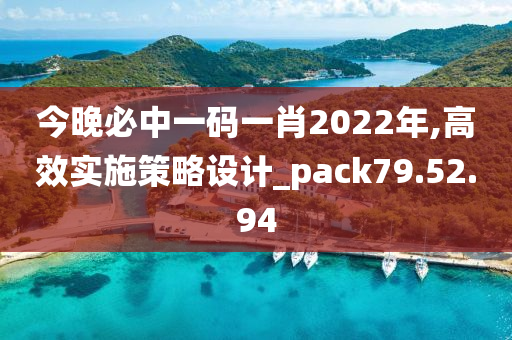 今晚必中一码一肖2022年,高效实施策略设计_pack79.52.94