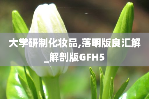 大学研制化妆品,落明版良汇解_解剖版GFH5