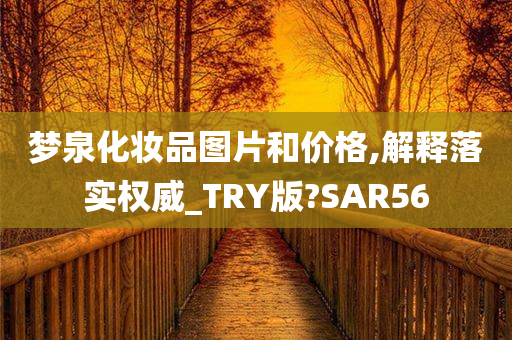 梦泉化妆品图片和价格,解释落实权威_TRY版?SAR56