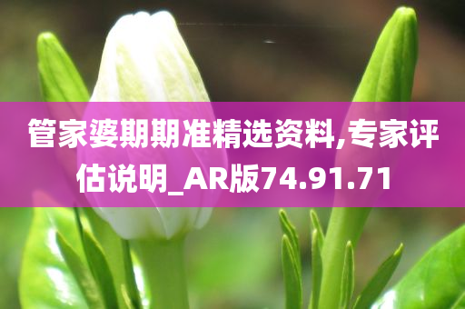 管家婆期期准精选资料,专家评估说明_AR版74.91.71