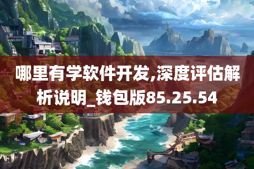 哪里有学软件开发,深度评估解析说明_钱包版85.25.54