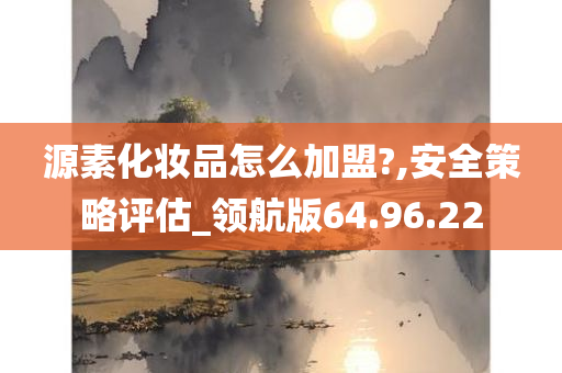 源素化妆品怎么加盟?,安全策略评估_领航版64.96.22