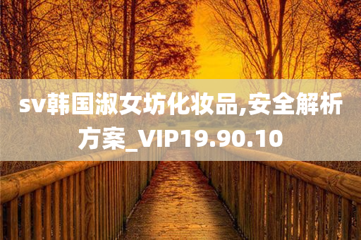 sv韩国淑女坊化妆品,安全解析方案_VIP19.90.10