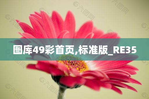 图库49彩首页,标准版_RE35