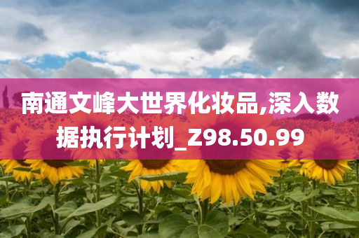 南通文峰大世界化妆品,深入数据执行计划_Z98.50.99