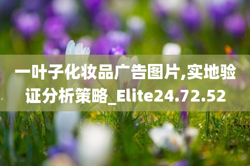 一叶子化妆品广告图片,实地验证分析策略_Elite24.72.52