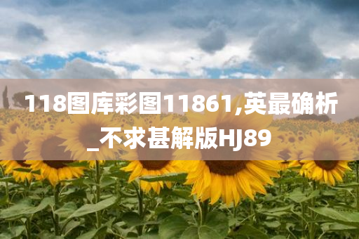 118图库彩图11861,英最确析_不求甚解版HJ89