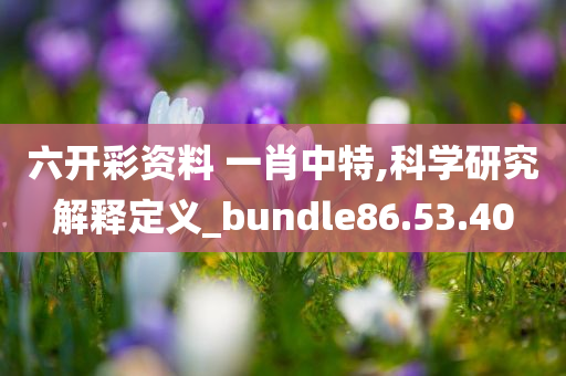 六开彩资料 一肖中特,科学研究解释定义_bundle86.53.40