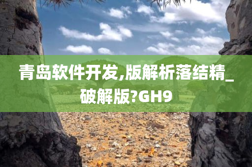 青岛软件开发,版解析落结精_破解版?GH9