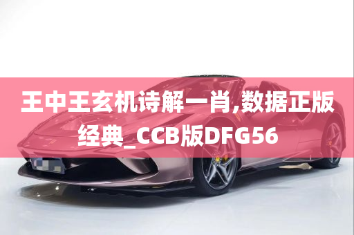 王中王玄机诗解一肖,数据正版经典_CCB版DFG56