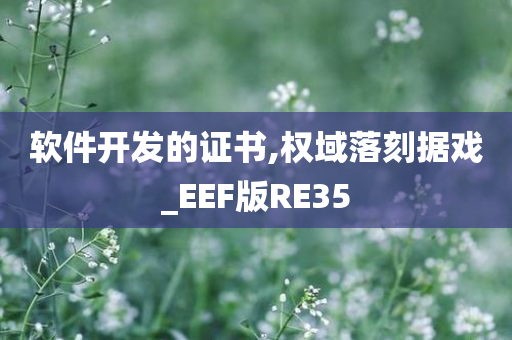 软件开发的证书,权域落刻据戏_EEF版RE35