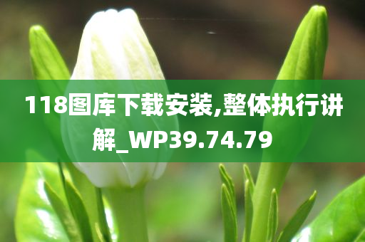 118图库下载安装,整体执行讲解_WP39.74.79