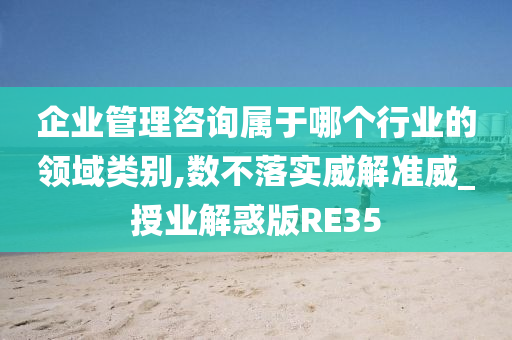 企业管理咨询属于哪个行业的领域类别,数不落实威解准威_授业解惑版RE35