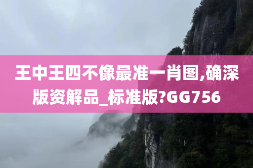 王中王四不像最准一肖图,确深版资解品_标准版?GG756