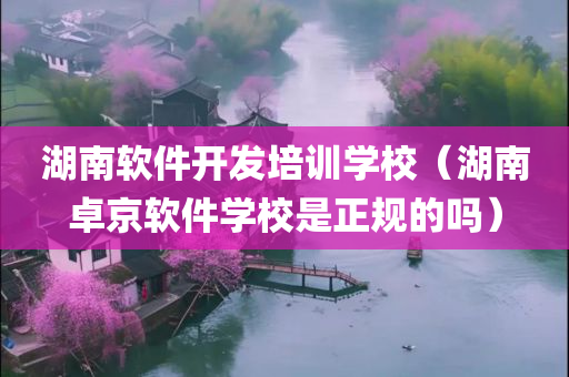 湖南软件开发培训学校（湖南卓京软件学校是正规的吗）