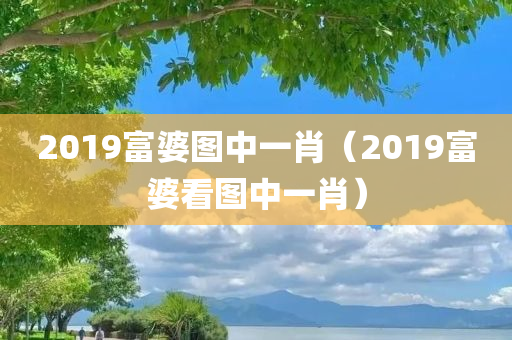 2019富婆图中一肖（2019富婆看图中一肖）