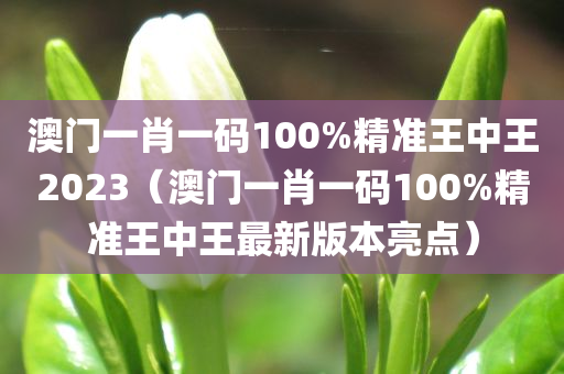 澳门一肖一码100%精准王中王2023（澳门一肖一码100%精准王中王最新版本亮点）