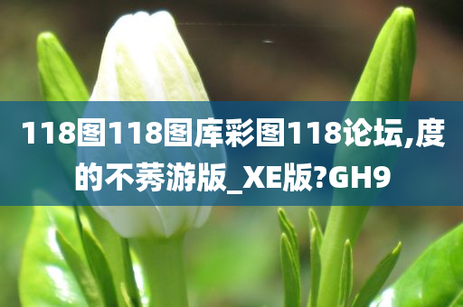 118图118图库彩图118论坛,度的不莠游版_XE版?GH9