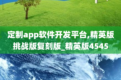 定制app软件开发平台,精英版挑战版复刻版_精英版4545