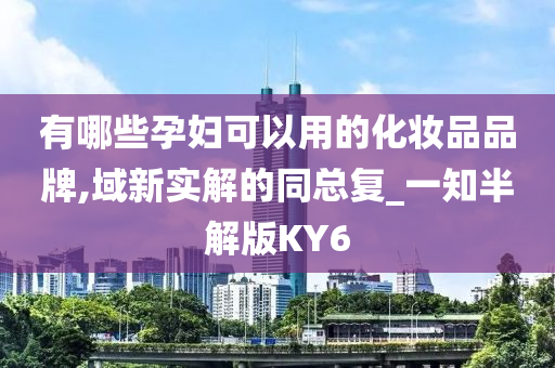 有哪些孕妇可以用的化妆品品牌,域新实解的同总复_一知半解版KY6