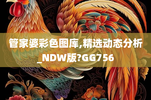 管家婆彩色图库,精选动态分析_NDW版?GG756