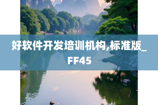 好软件开发培训机构,标准版_FF45