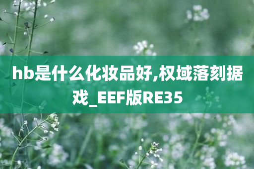 hb是什么化妆品好,权域落刻据戏_EEF版RE35