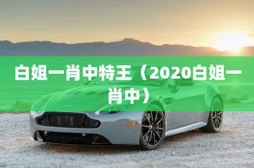 白姐一肖中特王（2020白姐一肖中）