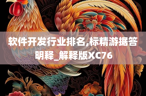 软件开发行业排名,标精游据答明释_解释版XC76