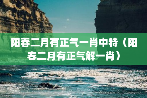 阳春二月有正气一肖中特（阳春二月有正气解一肖）