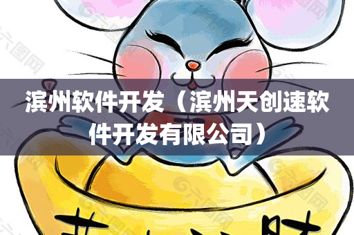 滨州软件开发（滨州天创速软件开发有限公司）